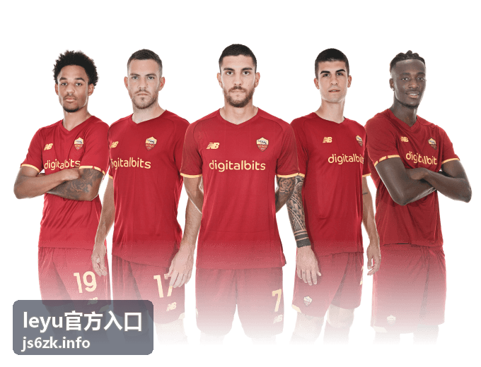 leyu官方入口新手使用入门指南